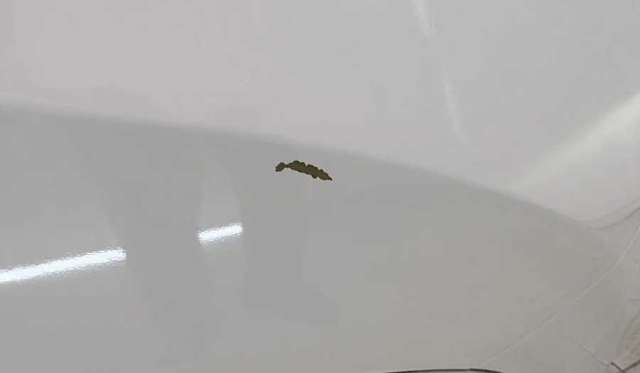 Porsche Cayenne S 2023 — imperfección 2 de 3